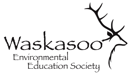waskasoo-logo